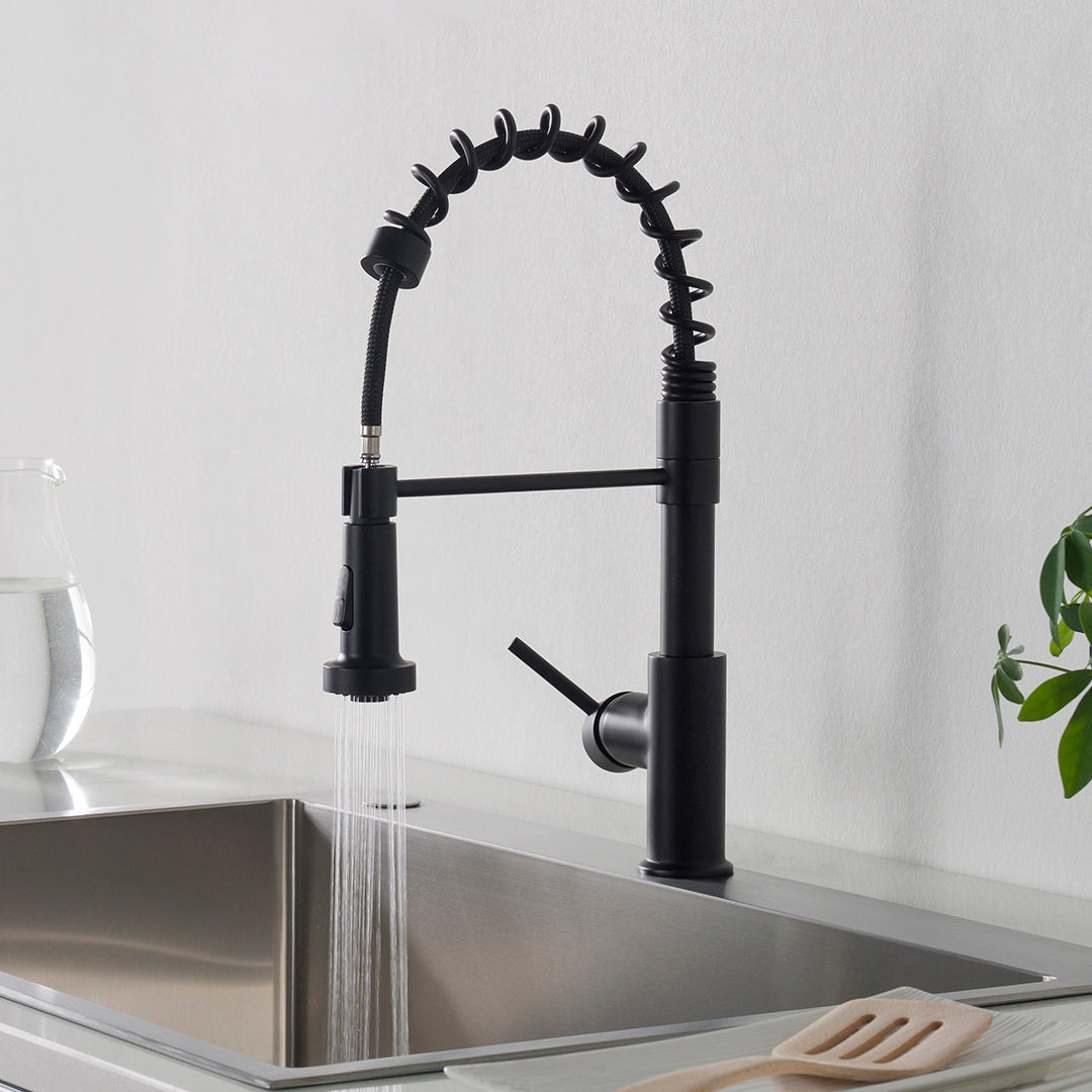 Single Handle Pull Out Kitchen Faucet – F01 205