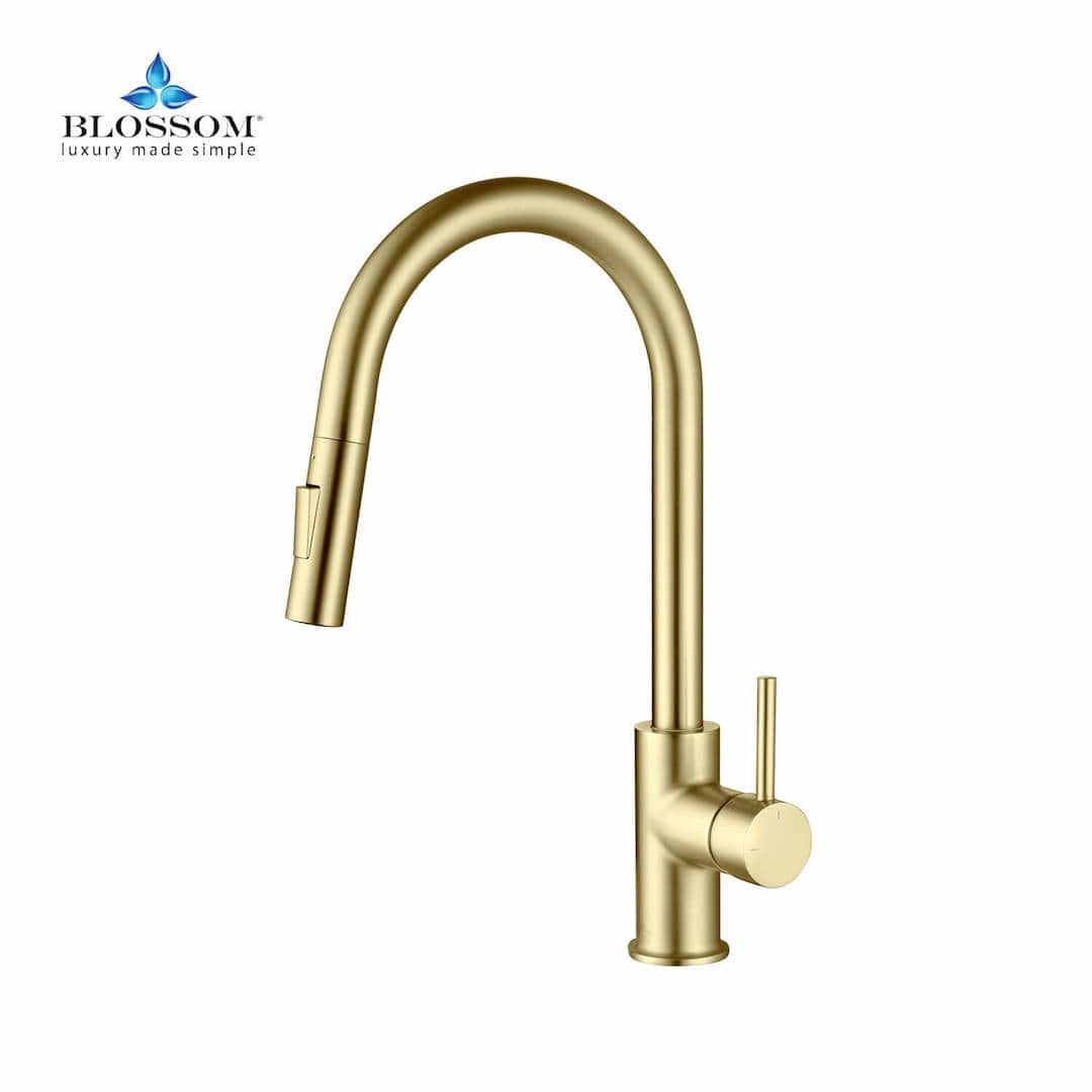 Single Handle Pull Down Kitchen Faucet – F01 206