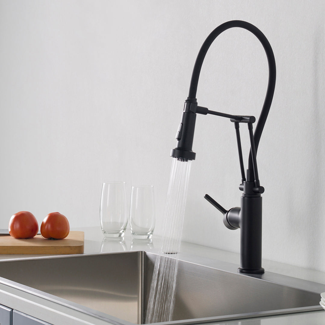 Single Handle Pull Out Kitchen Faucet – F01 208