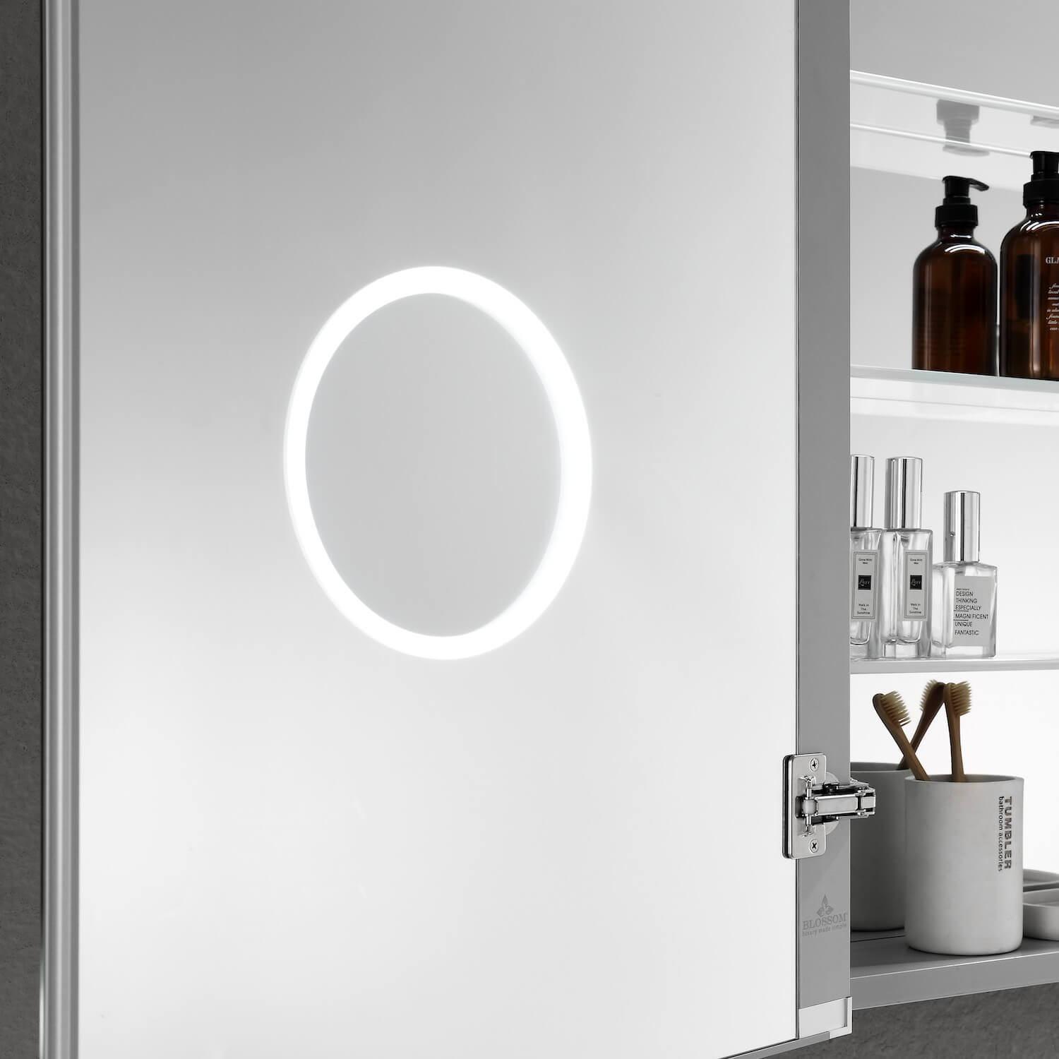 Asta – 20 Inches LED Medicine Cabinet