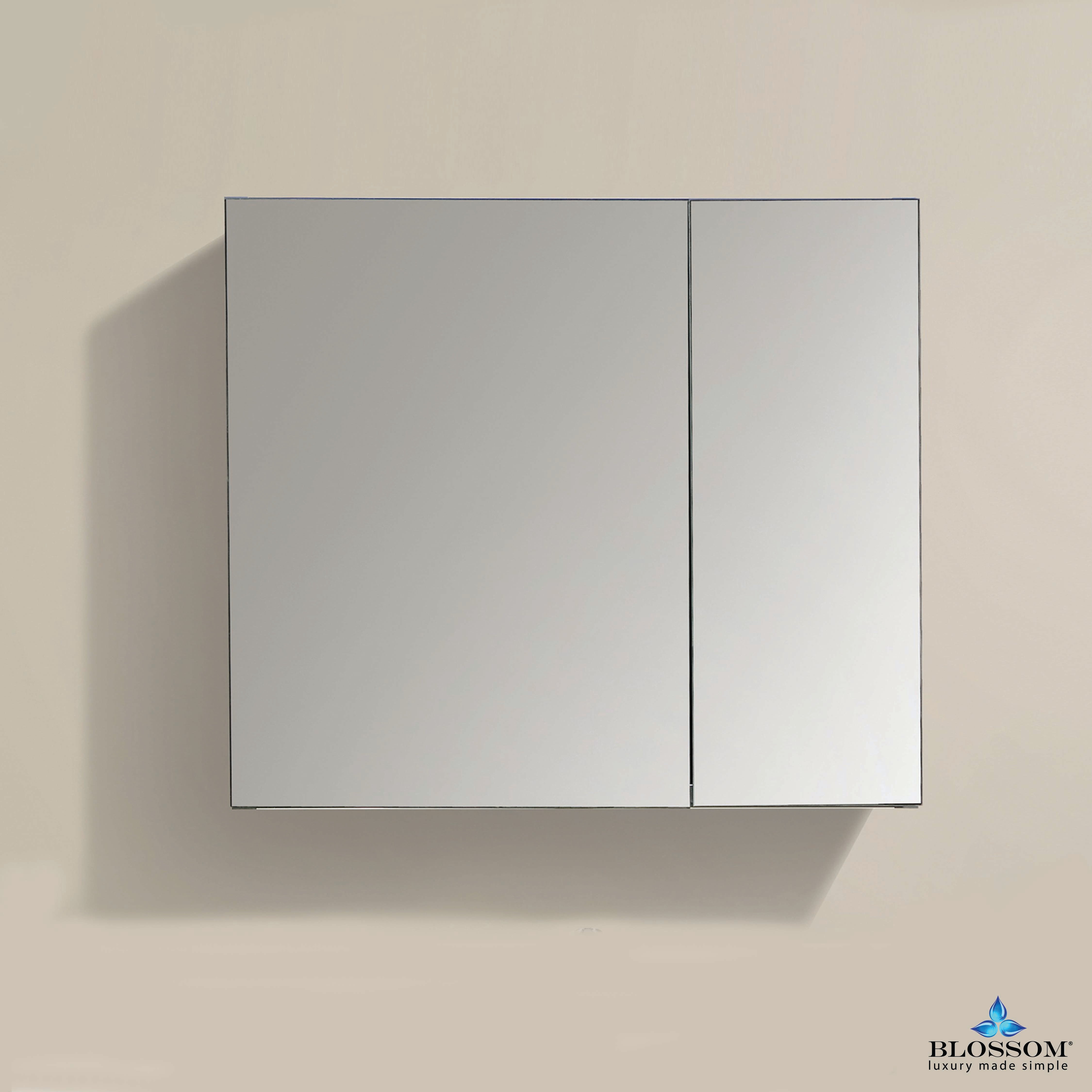 25″ Aluminum Medicine Cabinet with Mirror